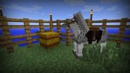 Hay bale next to the horse (Image via YouTube)